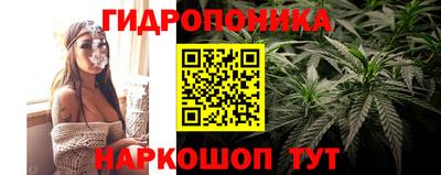 ECSTASY Кунгур